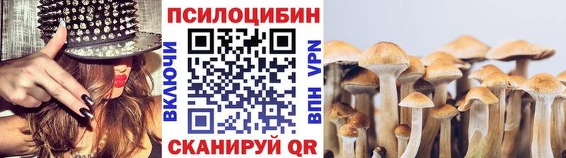 Галлюциногенные грибы Psilocybe Хадыженск