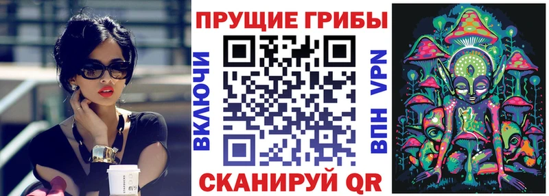 Псилоцибиновые грибы Psilocybine cubensis  Хадыженск 