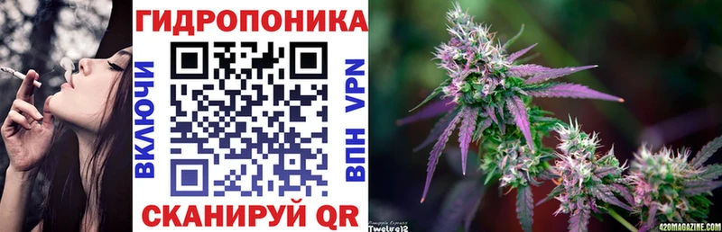 Канабис план  купить наркотики цена  Хадыженск 